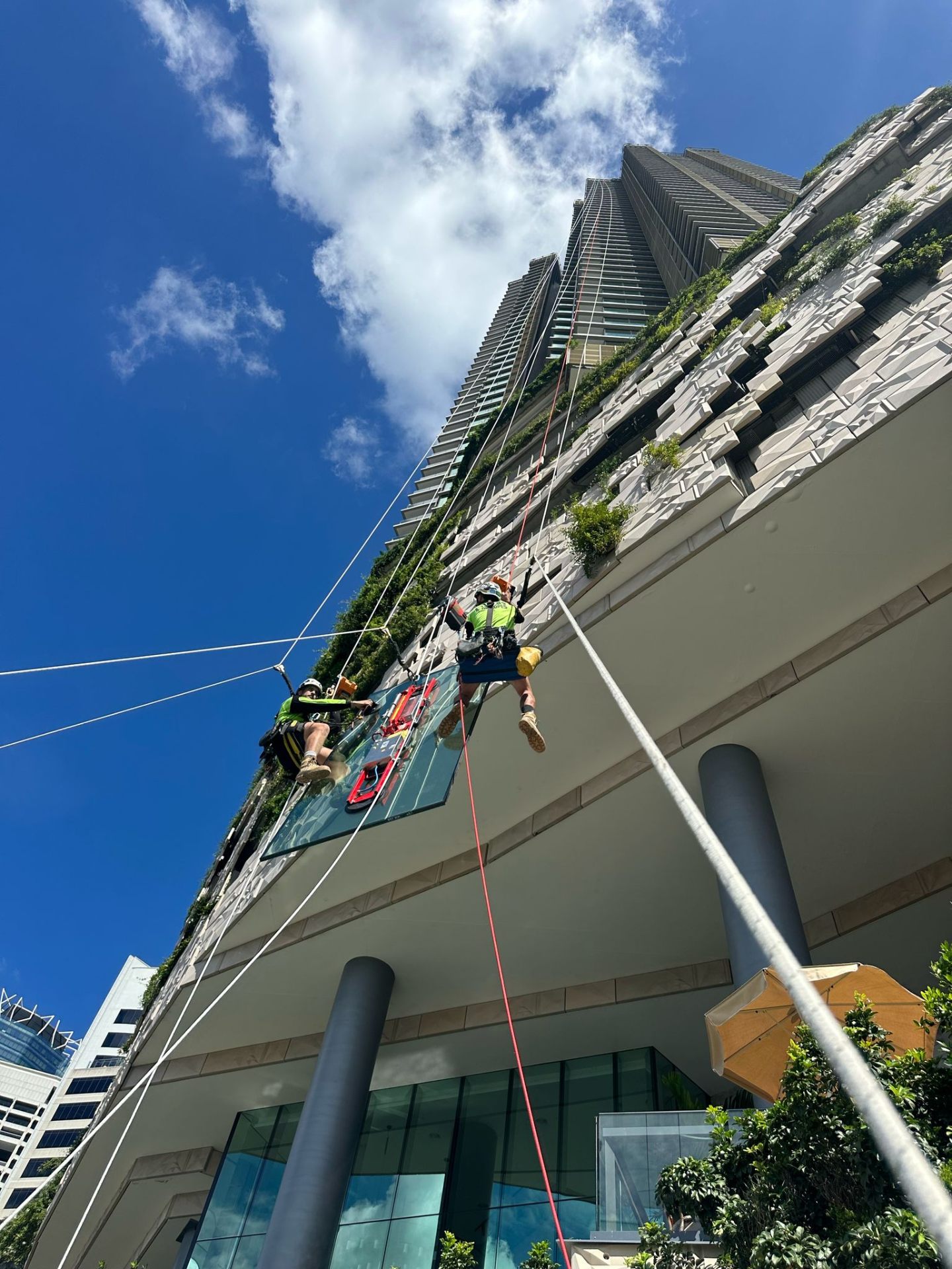 Two Tradies on Ropes glaziers on rope access installing a glass panel against the lush vertical gardens of 443 Queen Street Brisbane