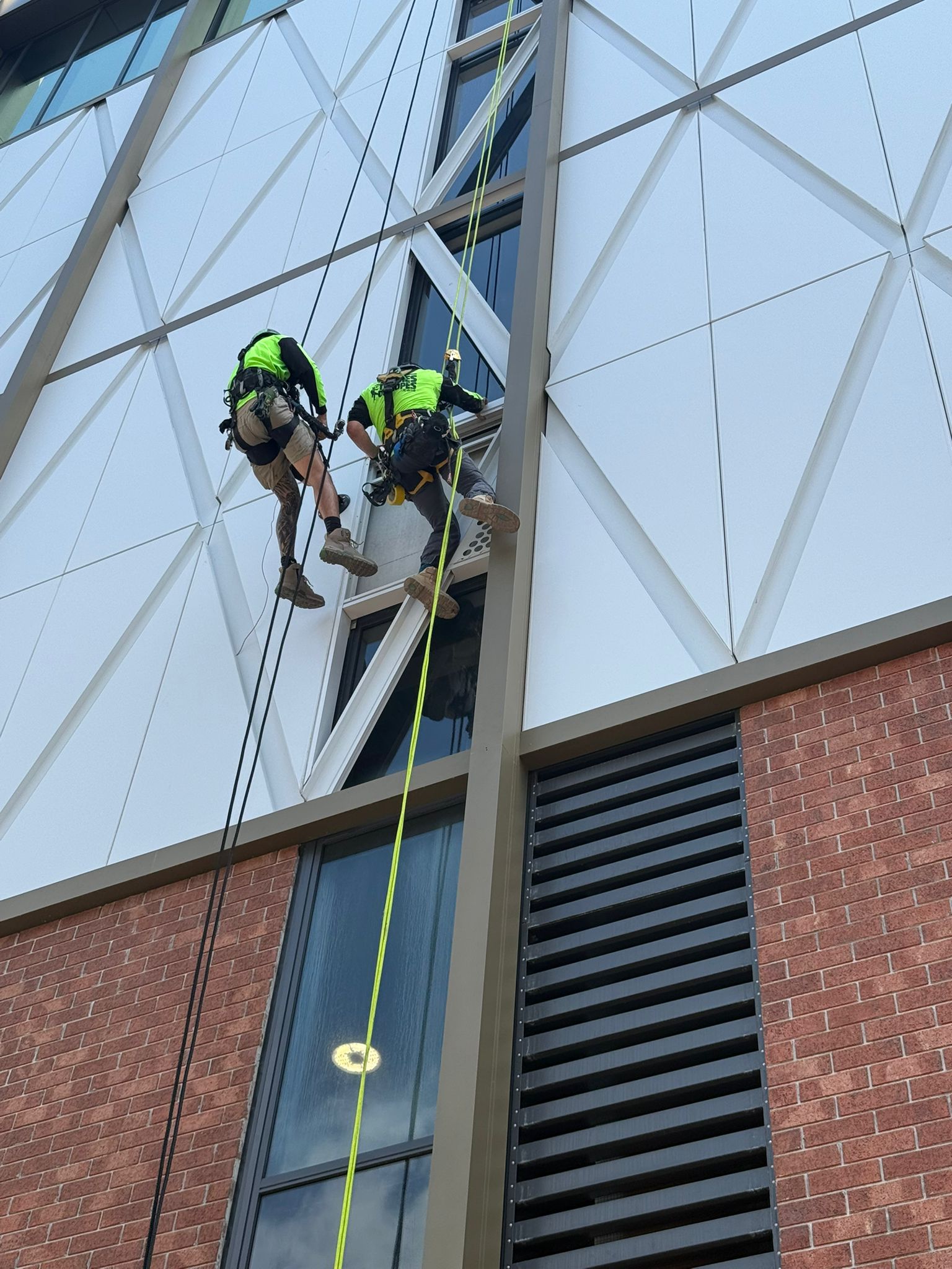 Close-up of Tradies on Ropes technicians carrying out façade works on geometric cladding panels at Ascent on Bourke