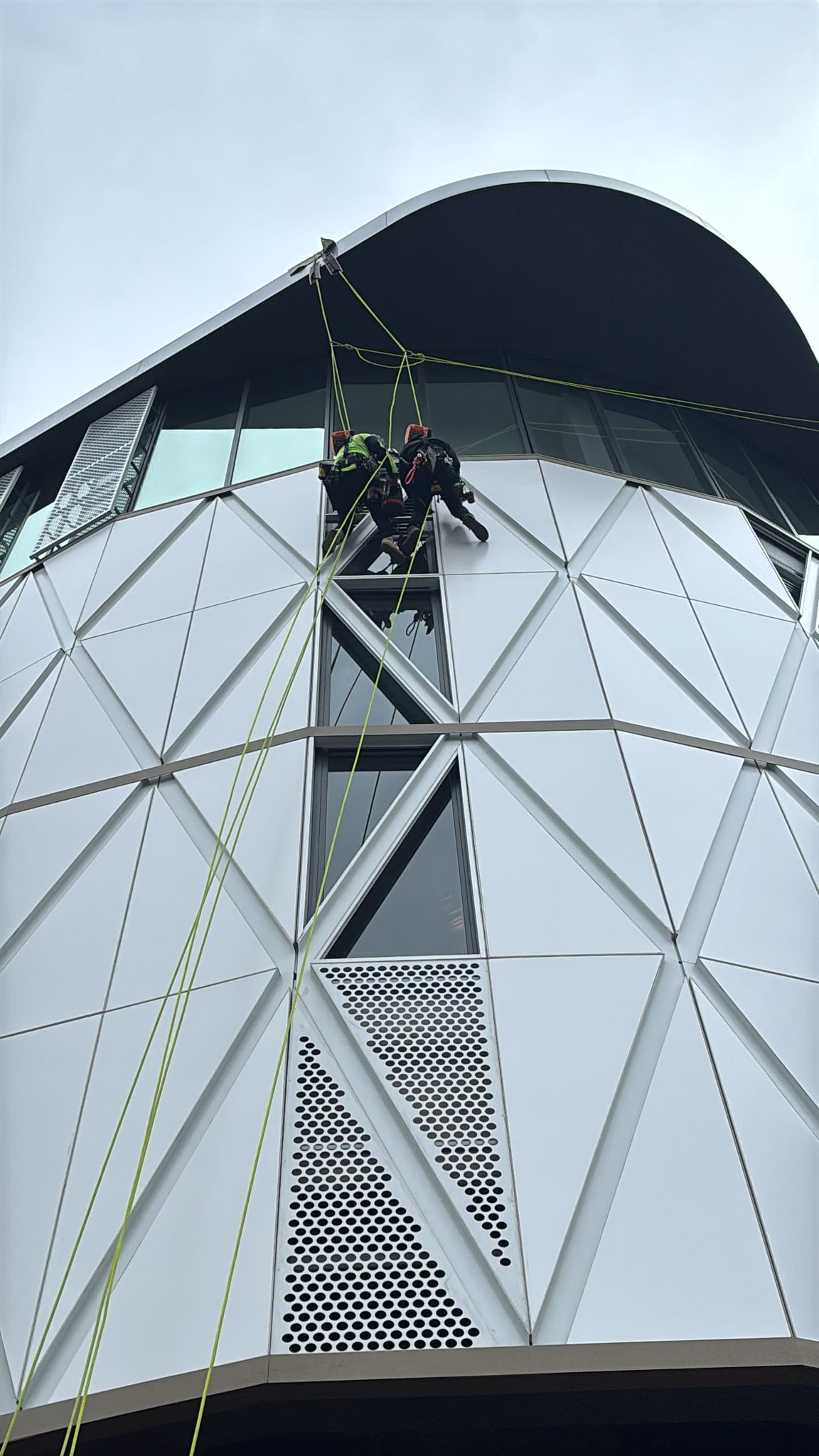 Rope access crew positioned at the roofline of Ascent on Bourke's angular white façade