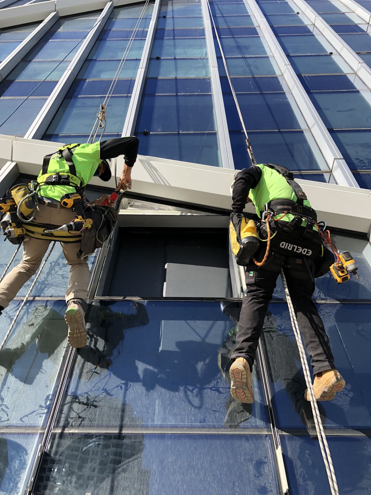 Tradies on Ropes glaziers replacing curtain wall panel at Jewel Residences