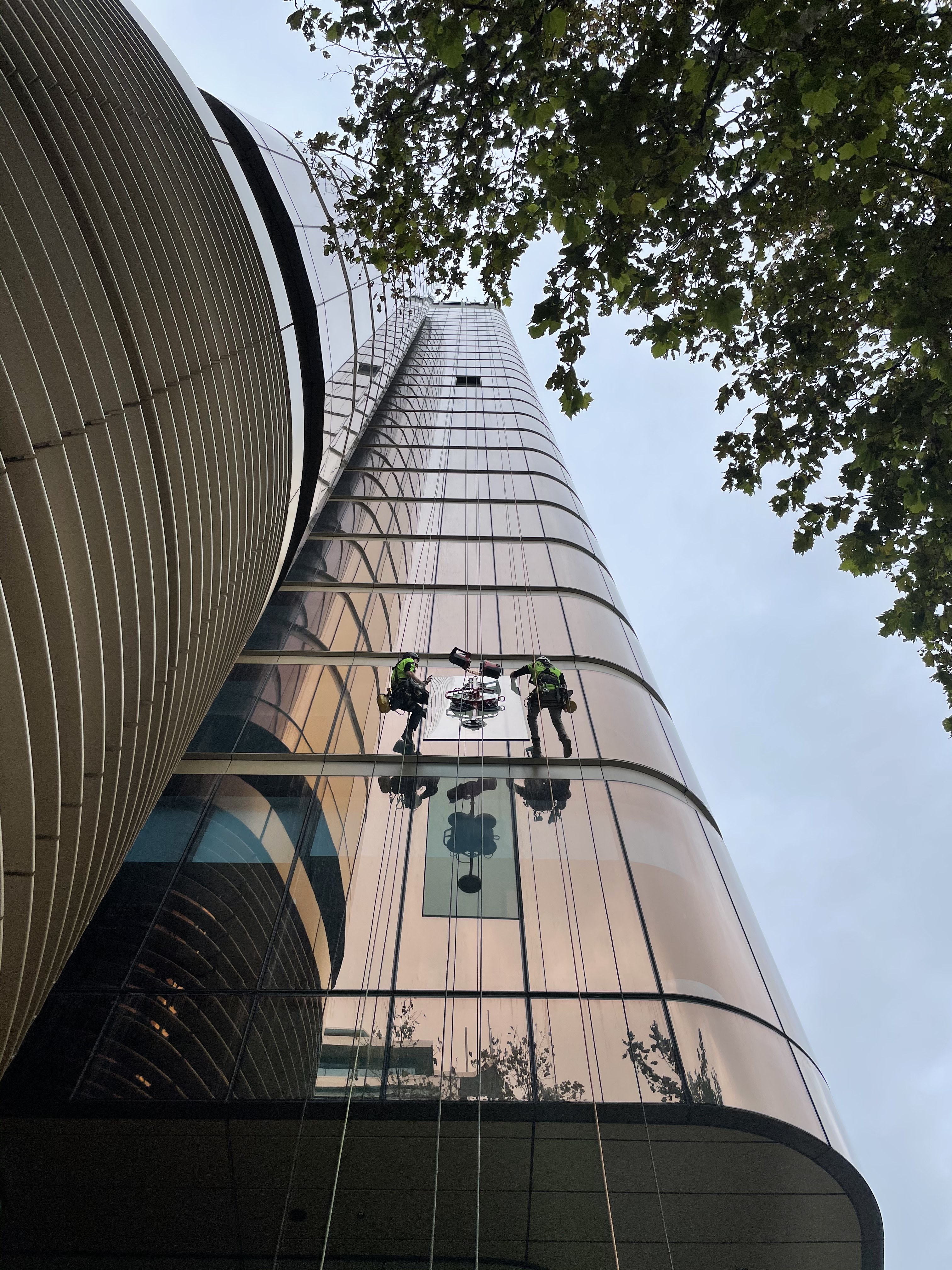 Rope access glaziers suspended on the bronze-tinted glass façade of Zurich Tower North Sydney